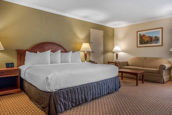 Room, 1 King Bed with Sofa bed, Non Smoking