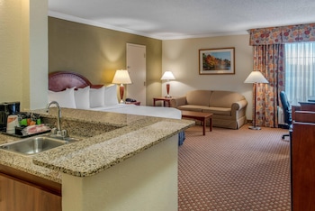Suite, 1 King Bed with Sofa bed, Accessible, Non Smoking