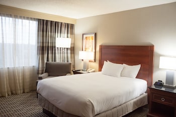 Room, 1 King Bed, Refrigerator