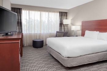 Room, 1 Queen Bed