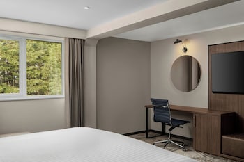 Executive Room, 1 King Bed