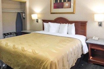 Deluxe Room, 1 King Bed, Kitchenette, Non-Smoking