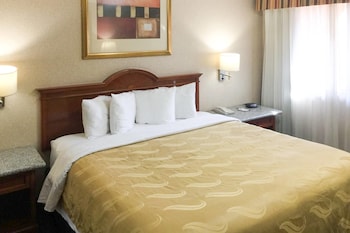 Deluxe Room, 1 King Bed, Kitchenette, Non-Smoking