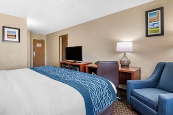 Standard Room, 1 King Bed, Non Smoking