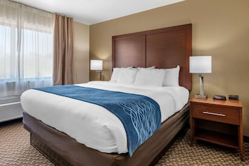 Standard Room, 1 King Bed, Non Smoking