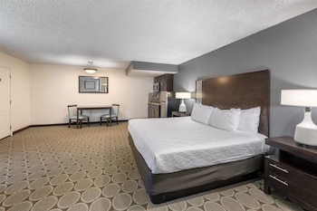 Standard Room, 1 King Bed, Non Smoking, Kitchenette