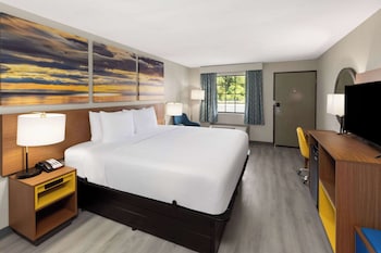 Room, 1 King Bed, Non Smoking