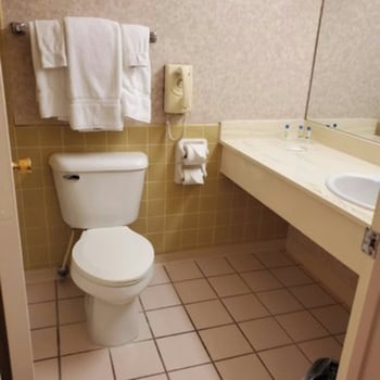 Room, 1 King Bed