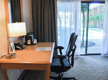 Room, 1 King Bed, Accessible