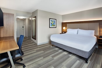 Standard Room, 1 King Bed, Accessible Bathtub (Mobility)