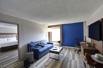 Suite, 1 Bedroom, Roll-in Shower (Mobility Accessible)