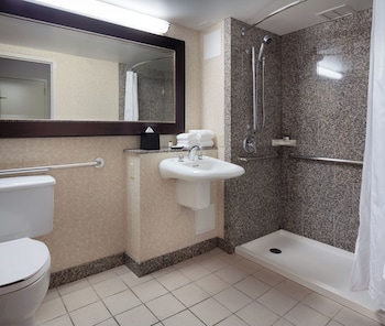 Studio Suite, 1 Queen Bed with Sofa bed (Mobility/Hearing Access, Roll-in Shwr)