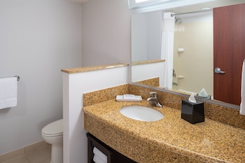 Room, 1 King Bed (Mobility Accessible, Transfer Shower)