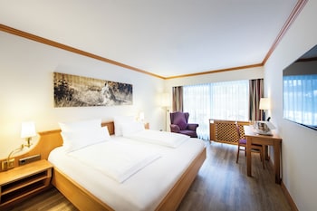 Comfort Double Room (South)