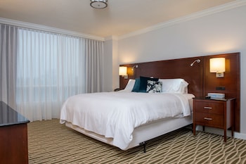 Room, 1 King Bed (Mobility Accessible, Roll-in Shower)