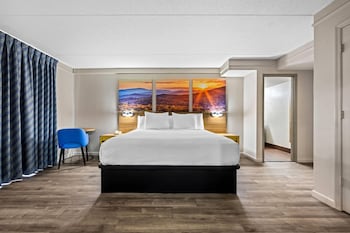 Mini-Suite, 1 King Bed, Non-Smoking