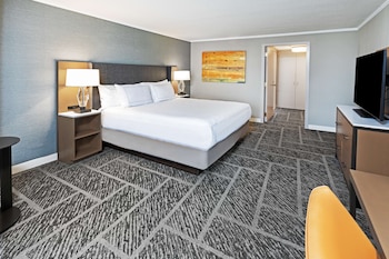 Room, 1 King Bed, Accessible, Non Smoking