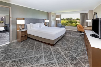 Suite, 1 King Bed (Parlor)