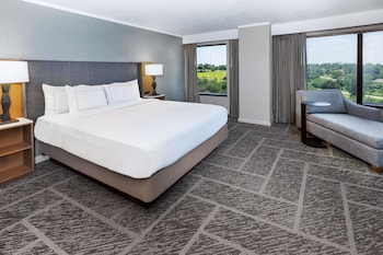 Suite, 1 King Bed, Non Smoking