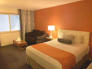 Single Bed with Couch - 1 Queen Bed