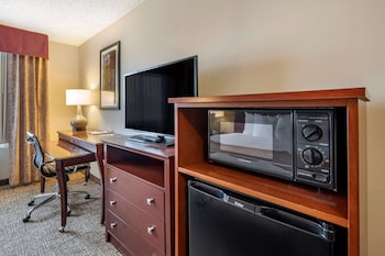 Room, 1 Queen Bed, Accessible, Non Smoking (Roll-In Shower)