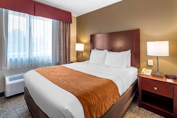 Room, 1 Queen Bed, Accessible, Non Smoking (Roll-In Shower)