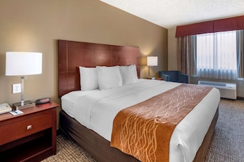 Room, 1 Queen Bed, Accessible, Non Smoking (Roll-In Shower)