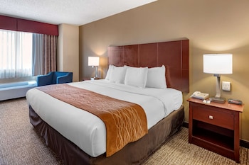 Room, 1 Queen Bed, Accessible, Non Smoking (Roll-In Shower)