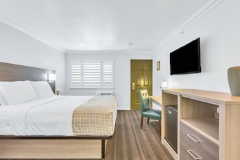 Room, 1 Queen Bed