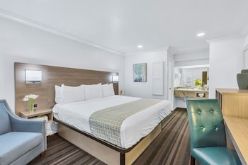 Room, 1 King Bed