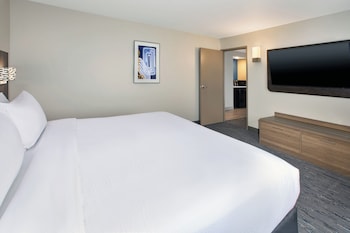 Suite, 1 King Bed