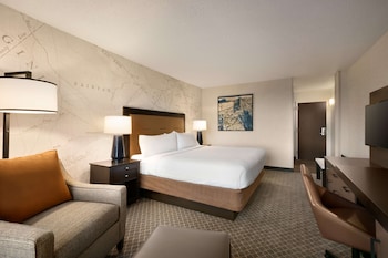 Room, 1 King Bed