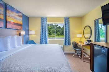 Room, 1 King Bed, Non Smoking