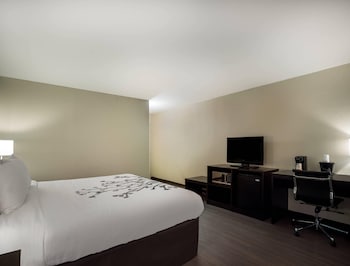 Standard Room, 1 King Bed, Non Smoking