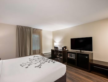 Room, 1 King Bed, Accessible, Non Smoking