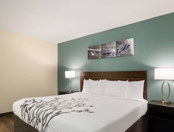 Room, 1 King Bed, Accessible, Non Smoking