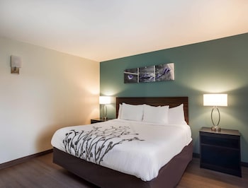 Room, 1 King Bed, Non Smoking