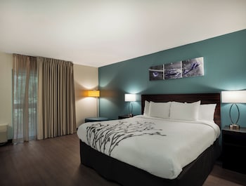 Standard Room, 1 King Bed, Non Smoking