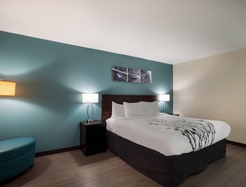 Standard Room, 1 King Bed, Non Smoking