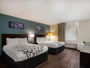 Business Room, 2 Queen Beds, Non Smoking (Upgrade)