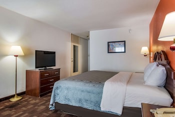 Room, 1 King Bed, Accessible, Non Smoking