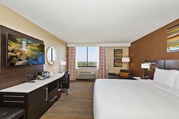 Room, 1 King Bed