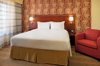 Suite, 1 King Bed with Sofa bed