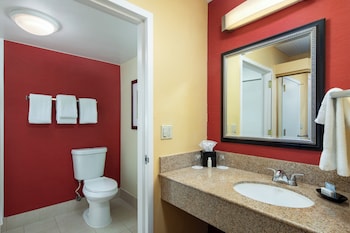 Suite, 1 King Bed with Sofa bed (Mobility/Hearing Access, Roll-In Shwr)