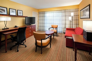 Suite, 1 King Bed with Sofa bed