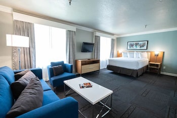 Studio Queen Suite