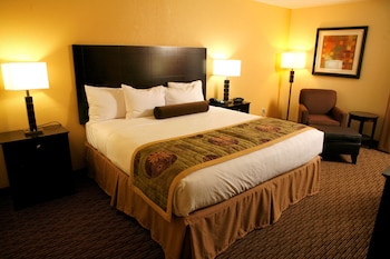 Standard Room, 1 King Bed, Non Smoking, Refrigerator & Microwave