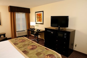 Standard Room, 1 King Bed, Non Smoking, Refrigerator & Microwave