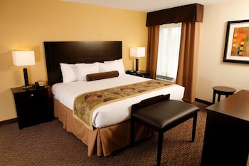 Standard Room, 1 King Bed, Non Smoking, Refrigerator & Microwave