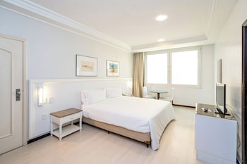Standard Single Room, 1 Double Bed